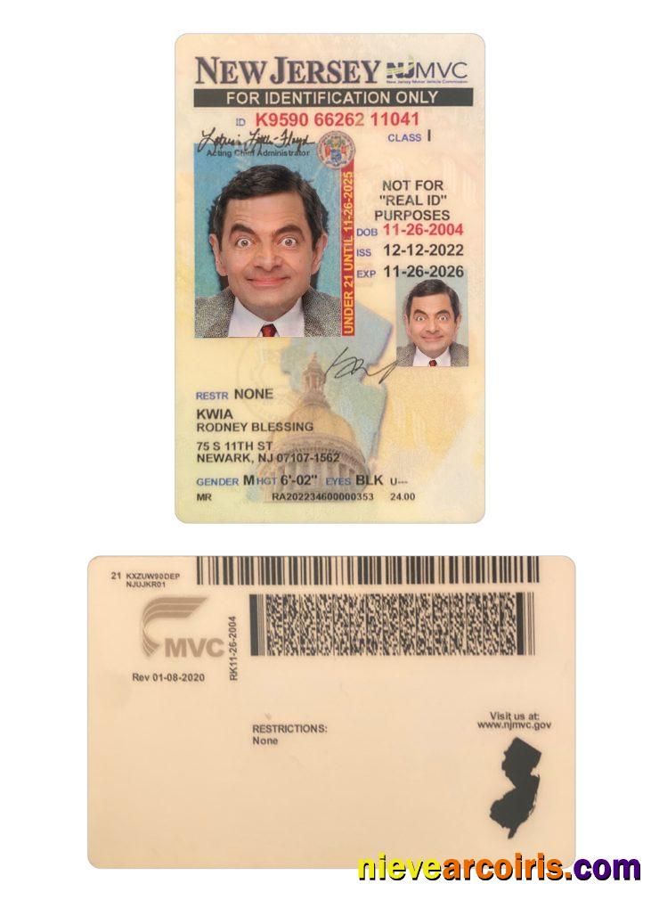 USA New Jersey ID card